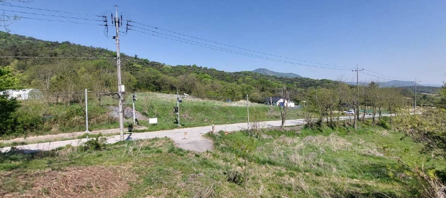 충청남도 예산군 덕산면 둔리 산36-1 임야 경매 사진 5