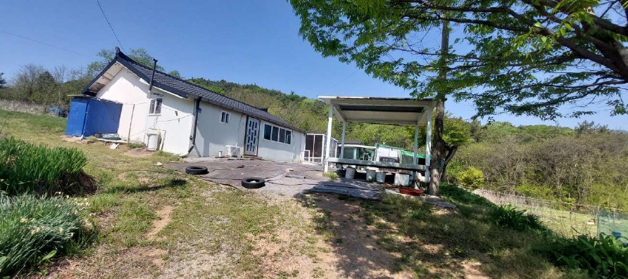 충청남도 예산군 덕산면 둔리 산36-1 임야 경매 사진 7