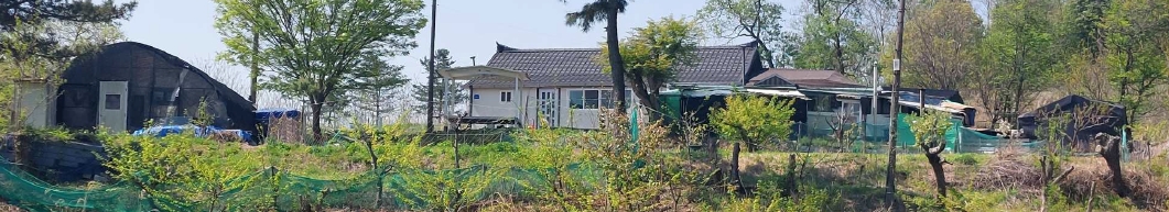 충청남도 예산군 덕산면 둔리 산36-1 임야 경매 사진 9