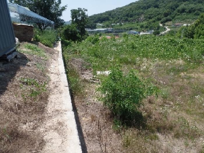 충청남도 논산시 은진면 시묘리 285 외 2필지 임야 경매 사진 1