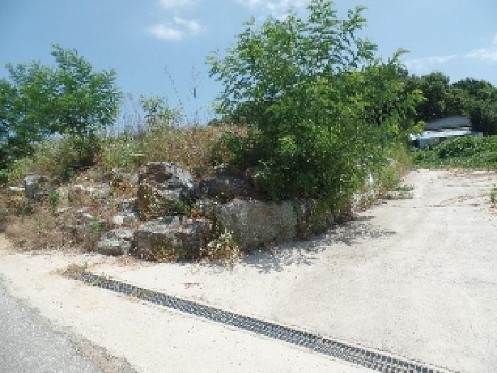 충청남도 논산시 은진면 시묘리 285 외 2필지 임야 경매 사진 3