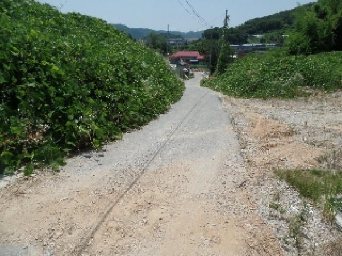 충청남도 논산시 은진면 시묘리 285 외 2필지 임야 경매 사진 6
