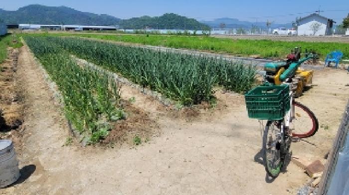 경상남도 함안군 군북면 월촌리 886-2 답 경매 사진 20