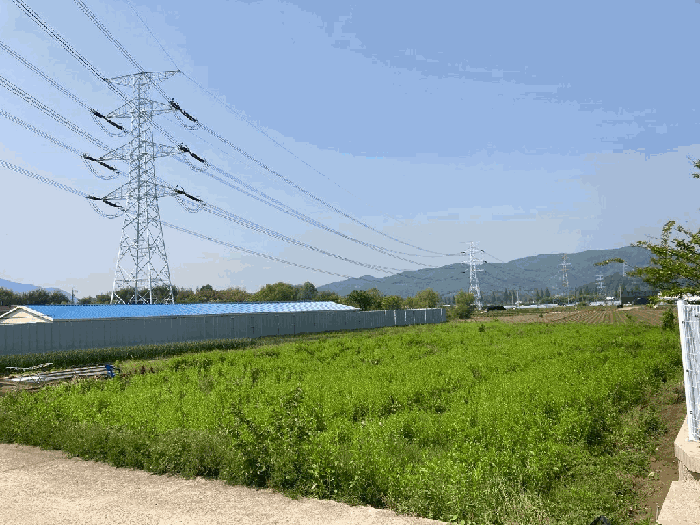 경상남도 함안군 군북면 월촌리 886-2 답 경매 사진 21