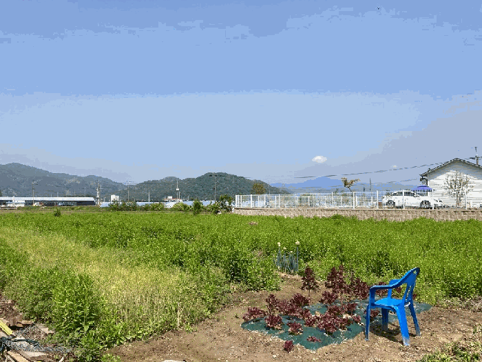 경상남도 함안군 군북면 월촌리 886-2 답 경매 사진 25