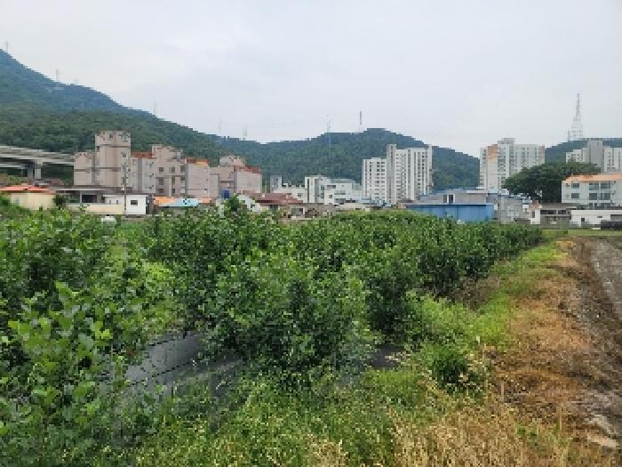 경상남도 통영시 광도면 안정리 1371-1 답 경매 사진 1