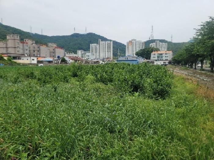 경상남도 통영시 광도면 안정리 1371-1 답 경매 사진 2