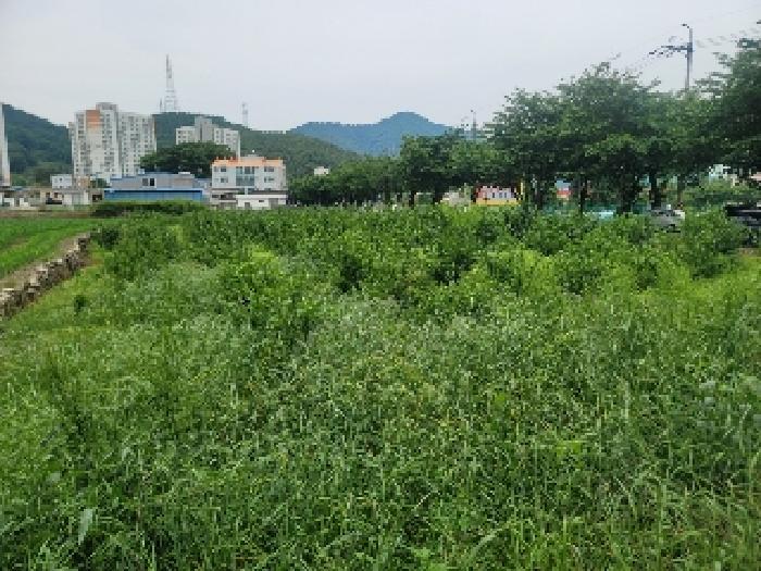 경상남도 통영시 광도면 안정리 1371-1 답 경매 사진 3