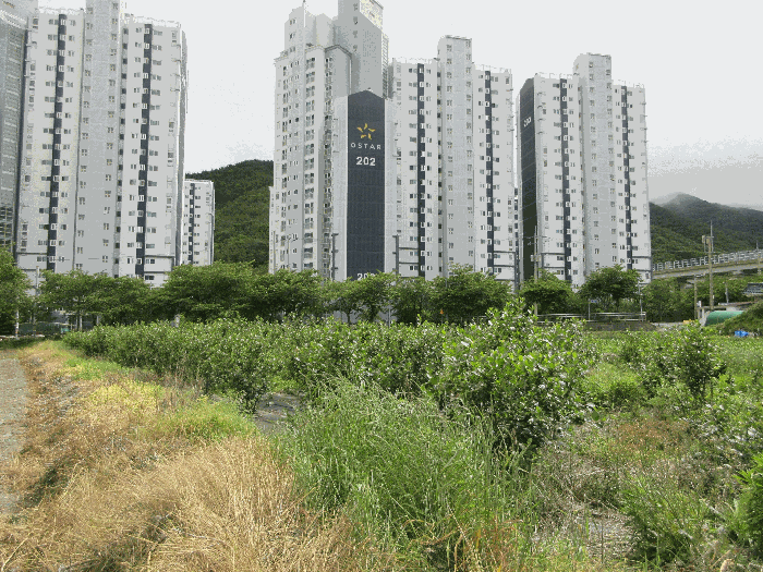경상남도 통영시 광도면 안정리 1371-1 답 경매 사진 9