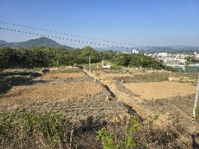 경상남도 함양군 함양읍 백연리 768-2 외 10필지 전 경매 사진 5