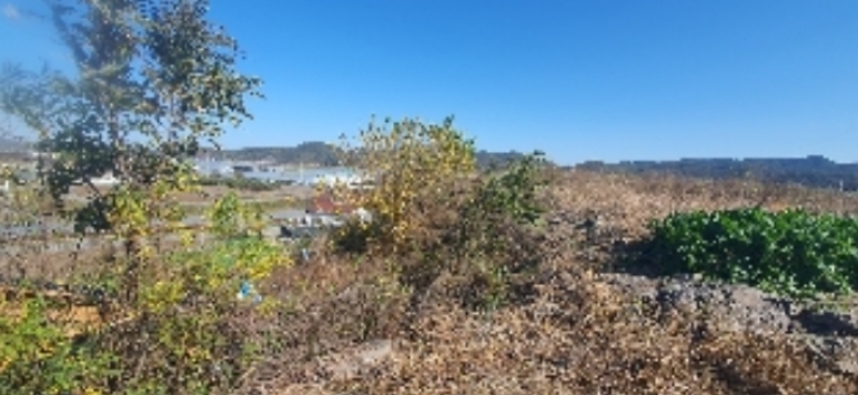 경상남도 함안군 법수면 윤내리 167-5 외 2필지 묘지 경매 사진 11