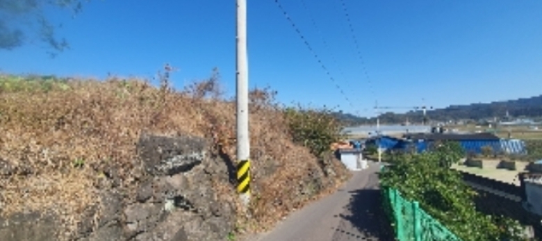 경상남도 함안군 법수면 윤내리 167-5 외 2필지 묘지 경매 사진 12
