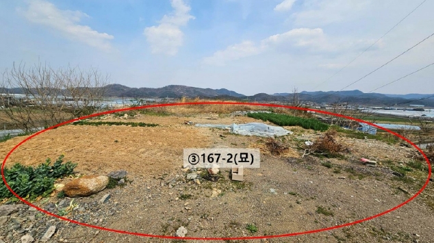 경상남도 함안군 법수면 윤내리 167-5 외 2필지 묘지 경매 사진 4
