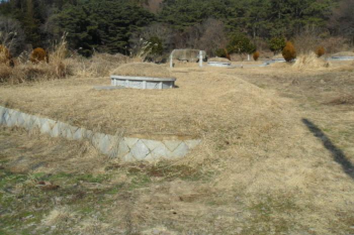 전북특별자치도 고창군 대산면 상금리 40-1 전 경매 사진 1