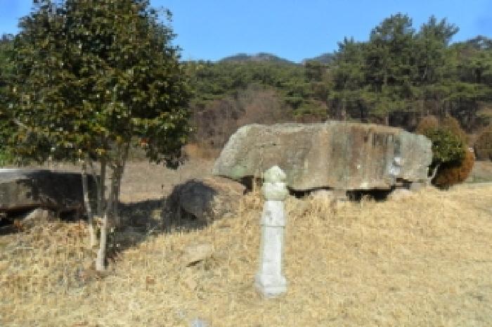 전북특별자치도 고창군 대산면 상금리 40-1 전 경매 사진 3