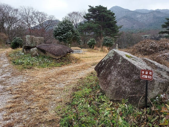 전북특별자치도 고창군 대산면 상금리 40-1 전 경매 사진 5