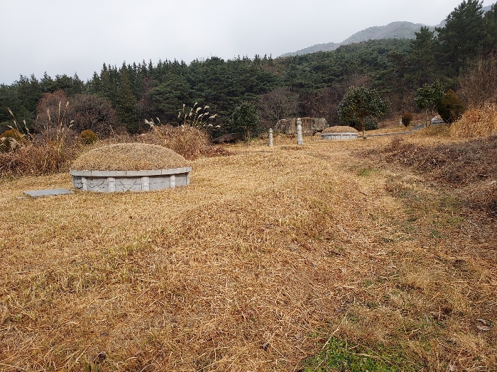 전북특별자치도 고창군 대산면 상금리 40-1 전 경매 사진 6