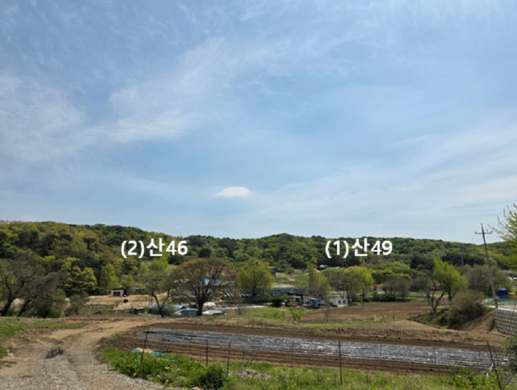 경기도 연천군 전곡읍 늘목리 산49 외 1필지 임야 경매 사진 1