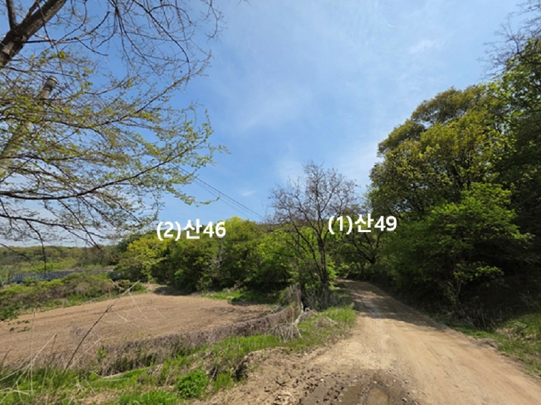 경기도 연천군 전곡읍 늘목리 산49 외 1필지 임야 경매 사진 2