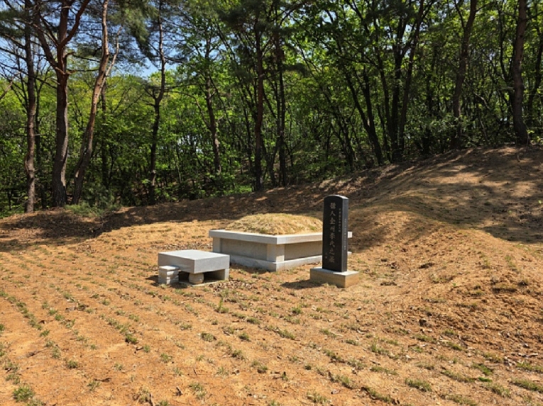 경기도 연천군 전곡읍 늘목리 산49 외 1필지 임야 경매 사진 12