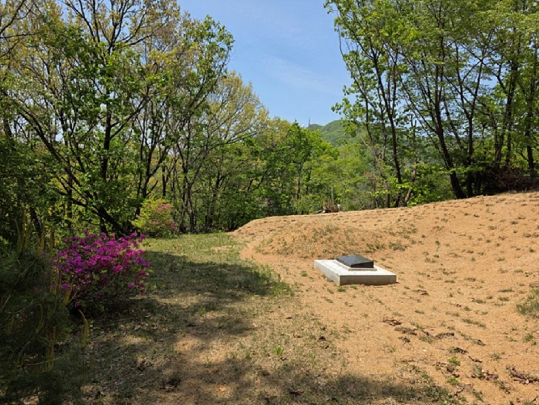 경기도 연천군 전곡읍 늘목리 산49 외 1필지 임야 경매 사진 14