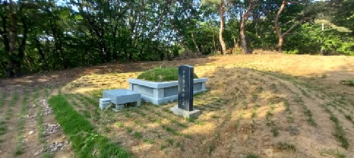 경기도 연천군 전곡읍 늘목리 산49 외 1필지 임야 경매 사진 27