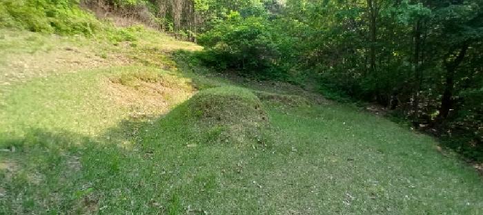 경기도 연천군 전곡읍 늘목리 산49 외 1필지 임야 경매 사진 28