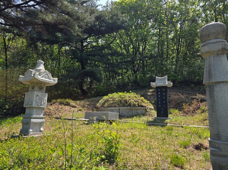 경기도 연천군 전곡읍 늘목리 산49 외 1필지 임야 경매 사진 5