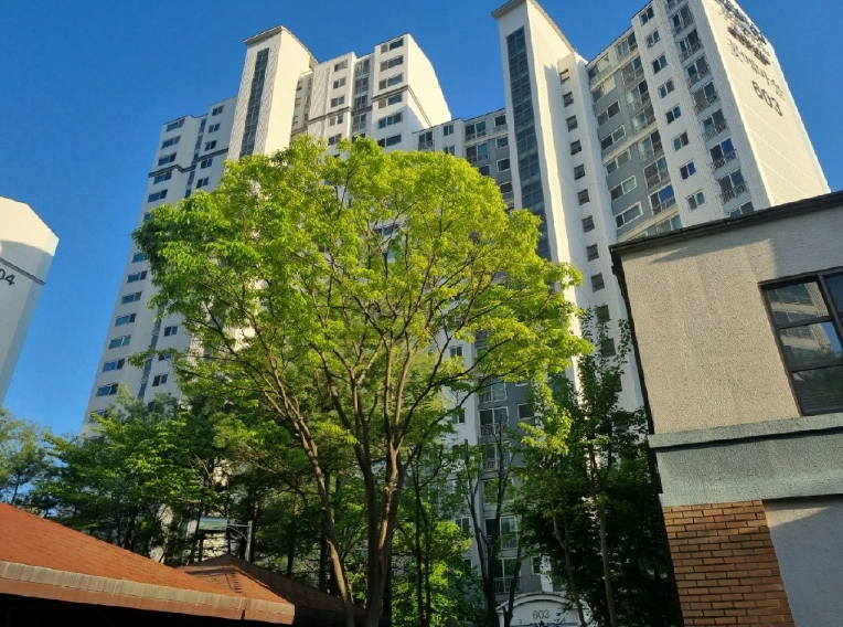 경기 용인시 수지구 죽전동 1302, 603동 16층1604호 (죽전동,꽃메마을한라신영프로방스) 외 1필지 아파트 경매 사진 2