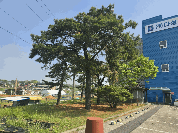 경기도 평택시 월곡동 350-16 외 6필지 공장 경매 사진 19