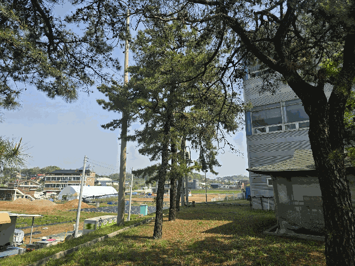 경기도 평택시 월곡동 350-16 외 6필지 공장 경매 사진 20