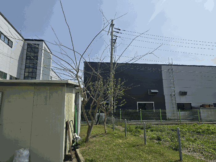 경기도 평택시 월곡동 350-16 외 6필지 공장 경매 사진 34