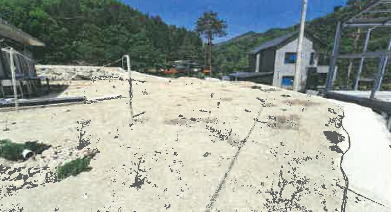 강원특별자치도 강릉시 왕산면 왕산리 408-1 외 1필지 임야 경매 사진 2