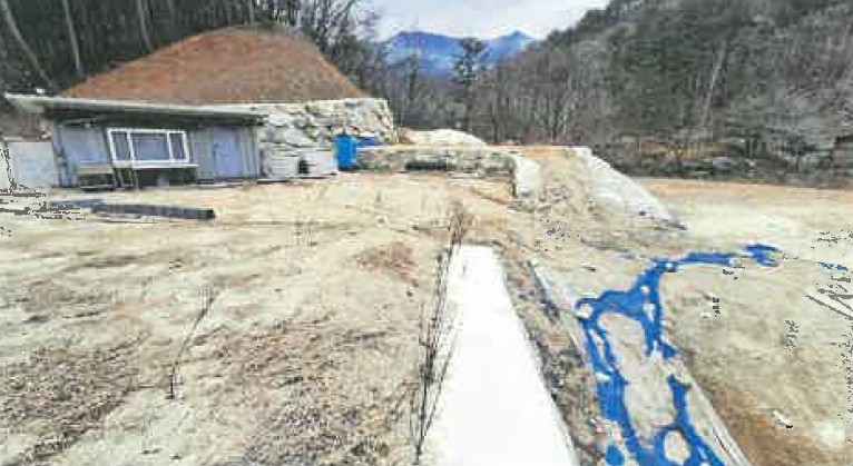 강원특별자치도 강릉시 왕산면 왕산리 408-1 외 1필지 임야 경매 사진 12
