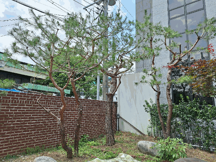 강원특별자치도 원주시 일산동 287-13 주택 경매 사진 48