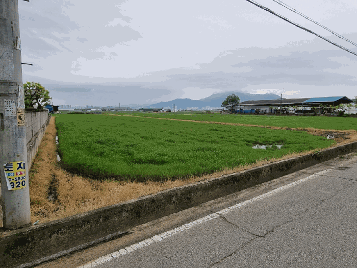 경상북도 구미시 고아읍 괴평리 600-3 답 경매 사진 14