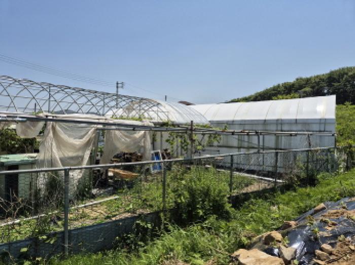 울산광역시 북구 무룡동 326-5 전 경매 사진 25
