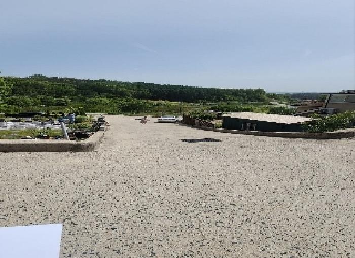 충청북도 옥천군 동이면 석탄리 산23-25 외 3필지 임야 경매 사진 2