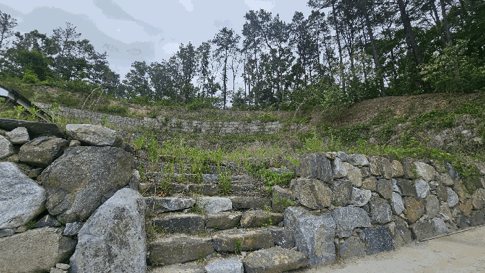 충청북도 옥천군 동이면 석탄리 산23-25 외 3필지 임야 경매 사진 12