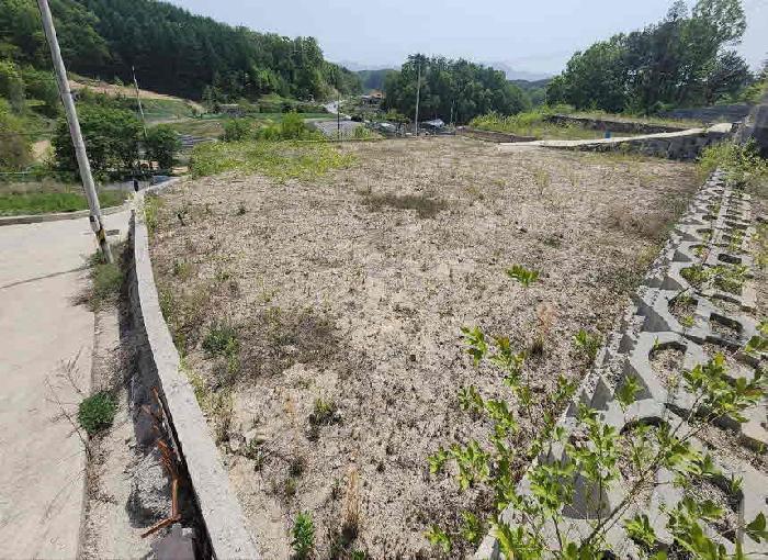 충청북도 옥천군 동이면 석탄리 산23-25 외 3필지 임야 경매 사진 5