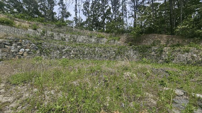 충청북도 옥천군 동이면 석탄리 산23-25 외 3필지 임야 경매 사진 9