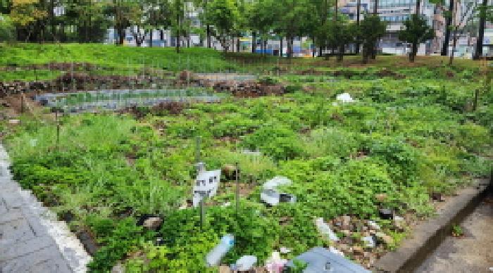 경상남도 양산시 물금읍 가촌리 1248-18 대지 경매 사진 1