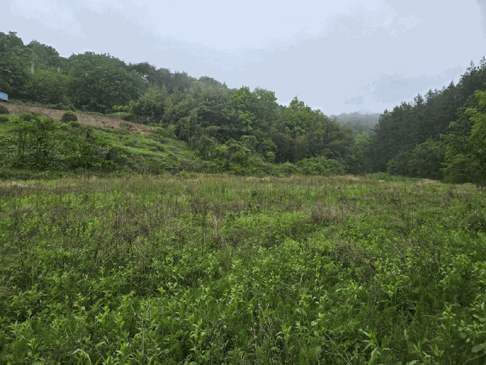 경상남도 사천시 서포면 구랑리 501 외 6필지 근린생활시설 경매 사진 36