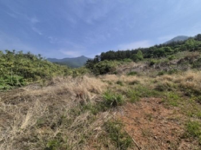 경상남도 고성군 삼산면 미룡리 482-1 외 1필지 전 경매 사진 2