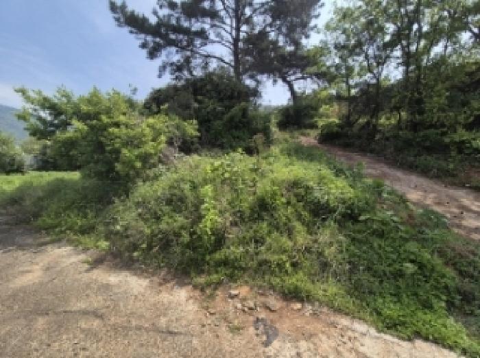 경상남도 고성군 삼산면 미룡리 482-1 외 1필지 전 경매 사진 13