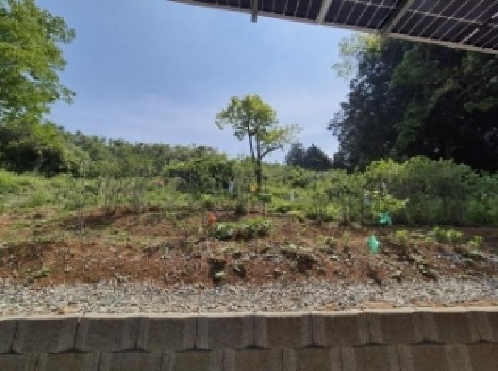 경상남도 고성군 삼산면 미룡리 482-1 외 1필지 전 경매 사진 16