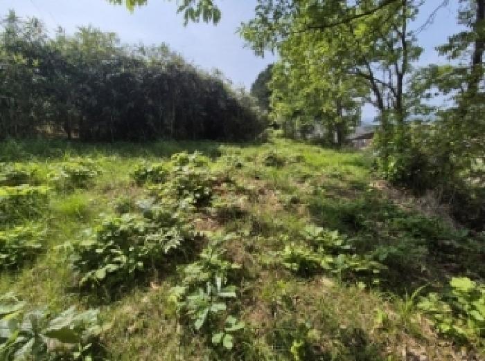 경상남도 고성군 삼산면 미룡리 482-1 외 1필지 전 경매 사진 23