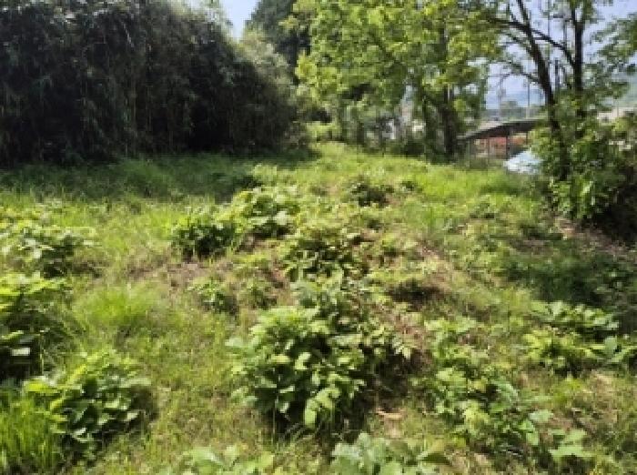 경상남도 고성군 삼산면 미룡리 482-1 외 1필지 전 경매 사진 24