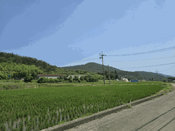 경상남도 고성군 삼산면 미룡리 482-1 외 1필지 전 경매 사진 29