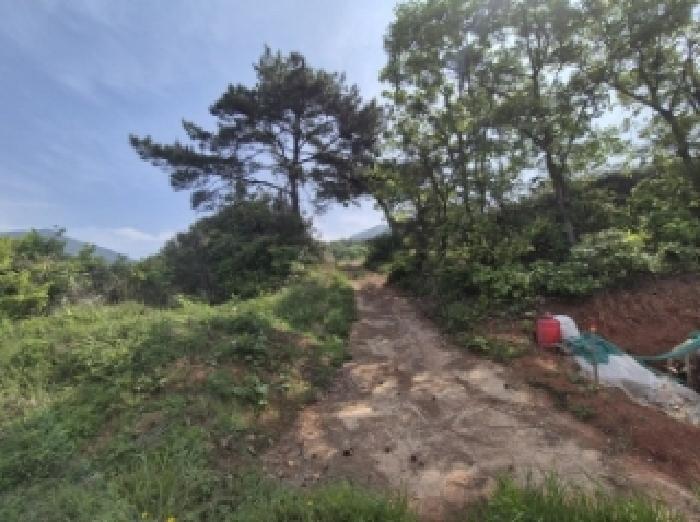 경상남도 고성군 삼산면 미룡리 482-1 외 1필지 전 경매 사진 4